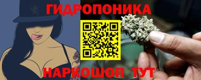 спиды Малгобек