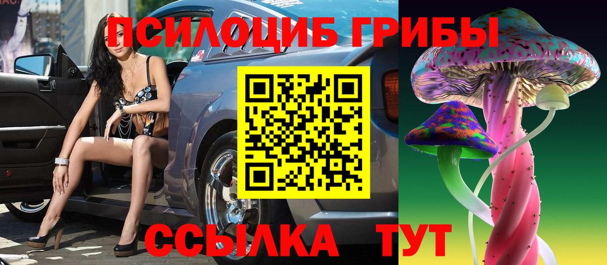 Галлюциногенные грибы прущие грибы  Вход с VPN  Тосно  Галлюциногенные грибы мухоморы 