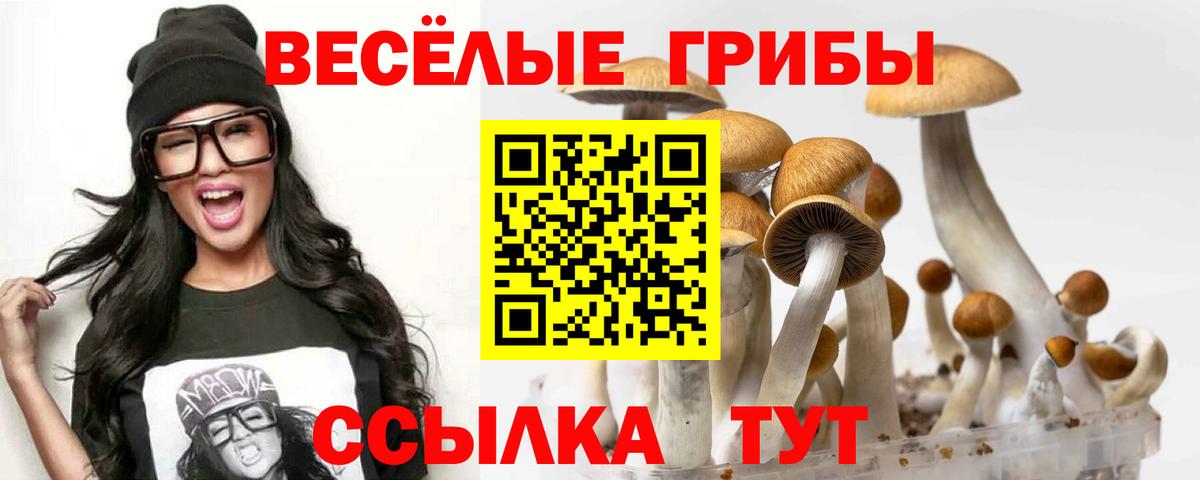 Галлюциногенные грибы прущие грибы Тосно